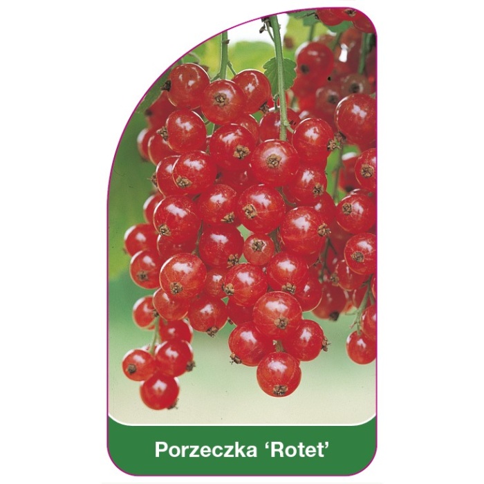 PL-201439-00-VS