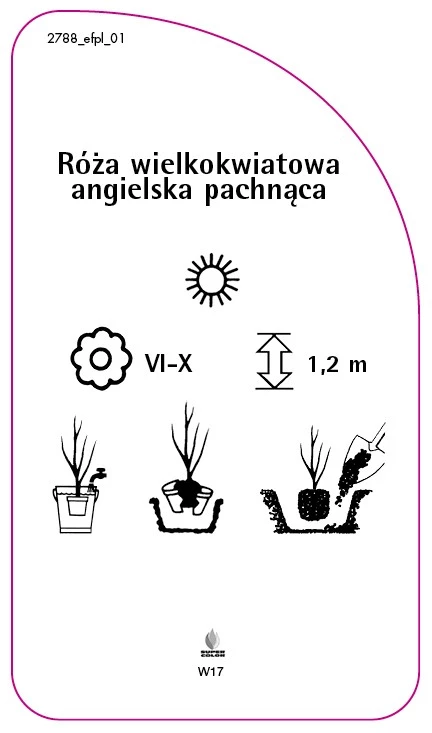 2788_efpl_01-RS