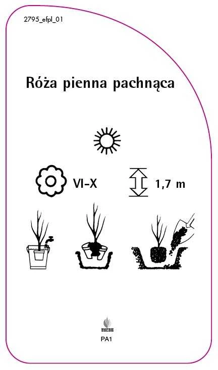 2795_efpl_01-RS