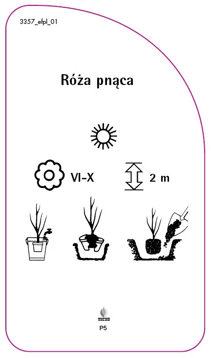 3357_efpl_01-RS