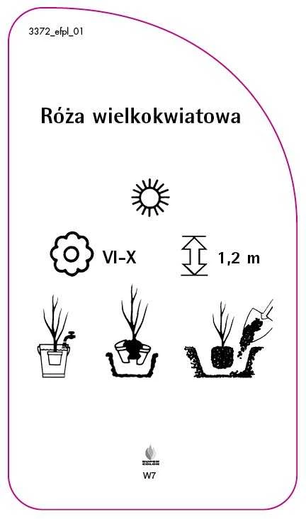 3372_efpl_01-RS