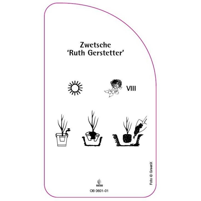 OB-0601-01-RS