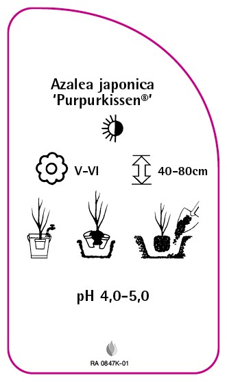 RA-0847K-01-RS