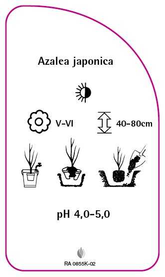 RA-0855K-02-RS