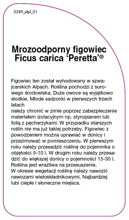 0289_efpl_01-RS