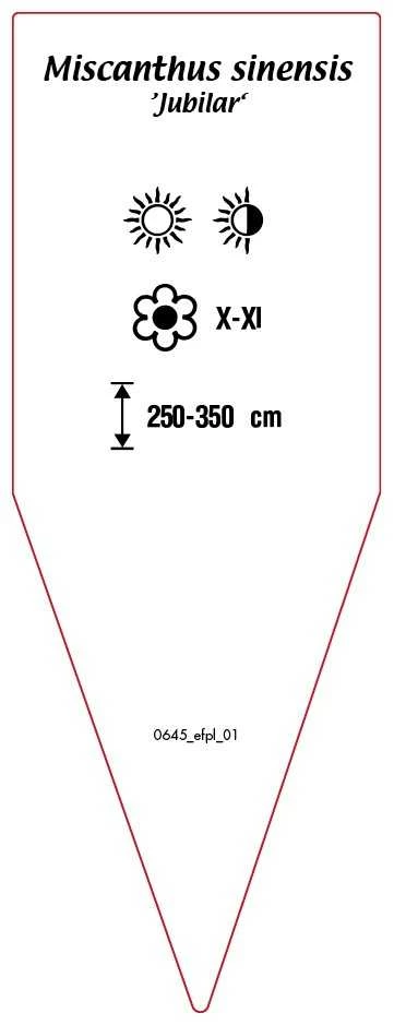 0645_efpl_01-RS