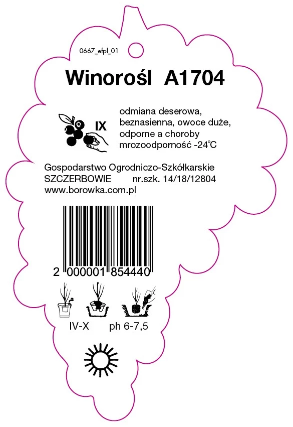0667_efpl_01-RS