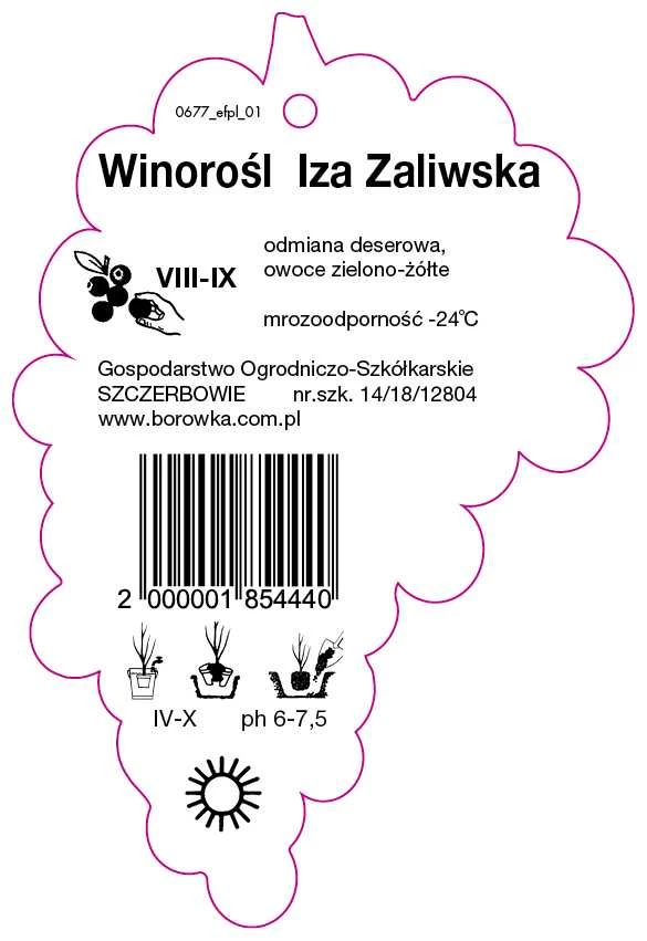 0677_efpl_01-RS