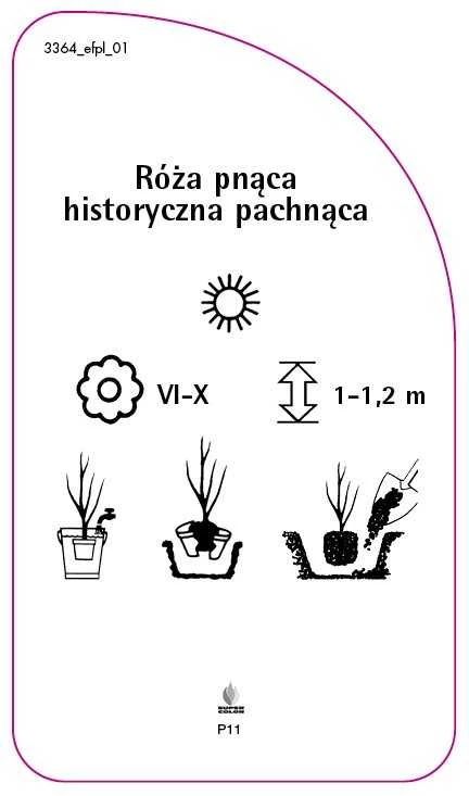 3364_efpl_01-RS