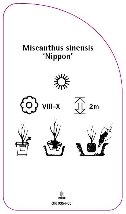 GR-200054-00-RS594ba7f5b962a