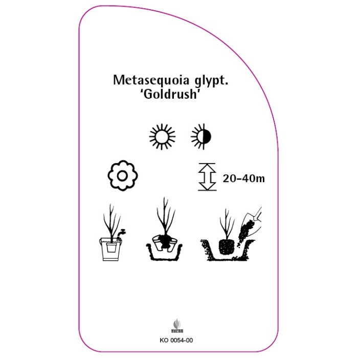 KO-200054-00-RS594ba8463908f