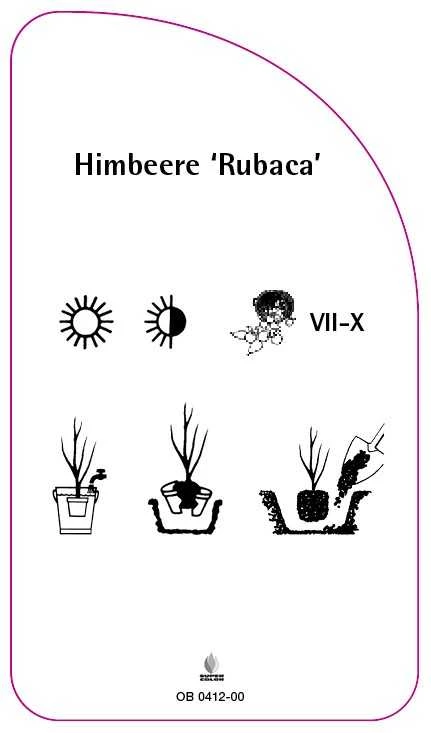 OB-200412-00-RS594bb2a8bd51f