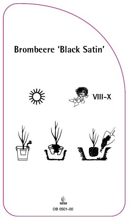 OB-200501-00-RS594bb2a97f4f9