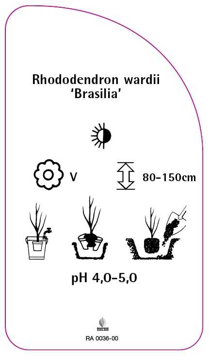 RA-200036-00-RS594bbc44b7c28