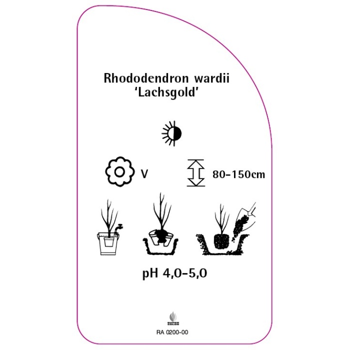 RA-200200-00-RS594bbcb2d1ced