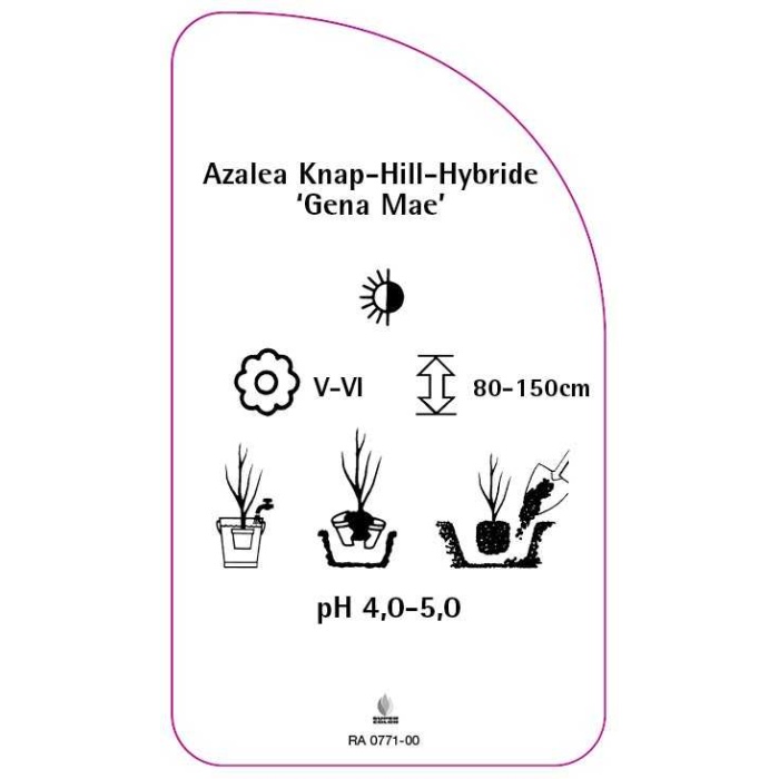 RA-200771-00-RS594bc357bbeea