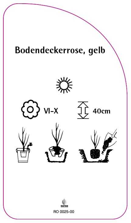 RO-200025-00-RS594bc7ae5f291