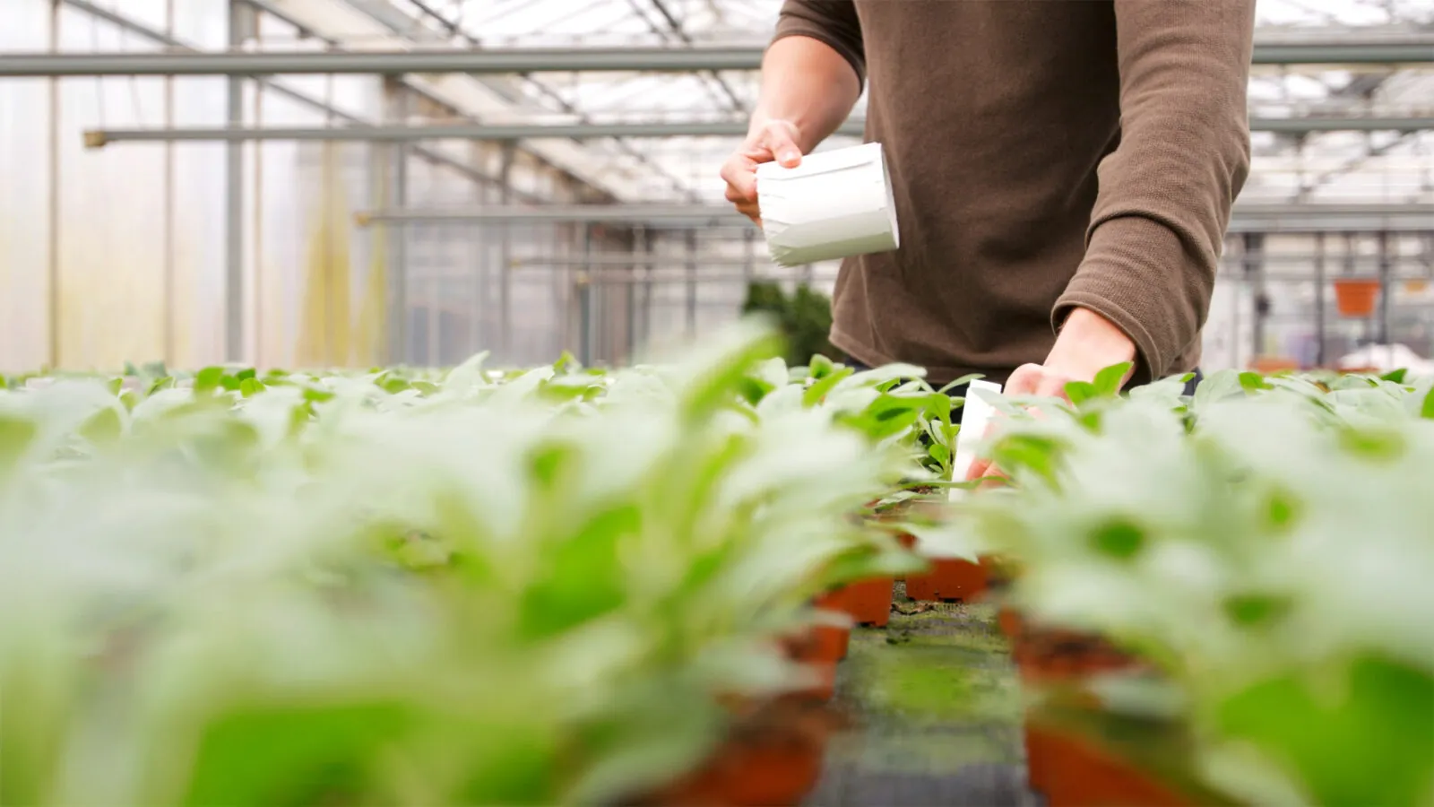 Etiketten-Becker Unsere Vision - Gärtnerei