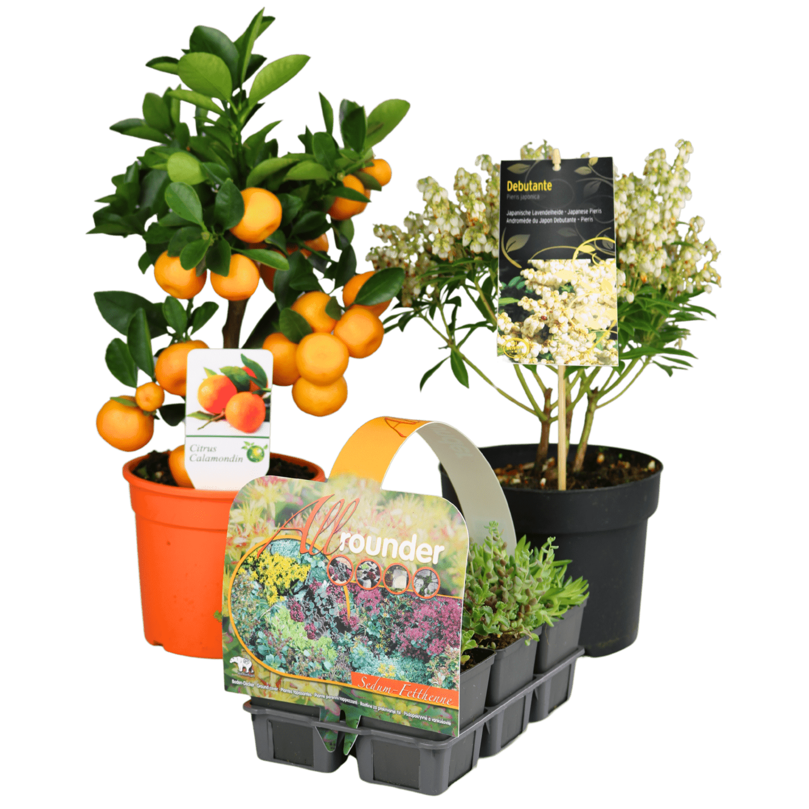 plant-labels-etiketten-becker